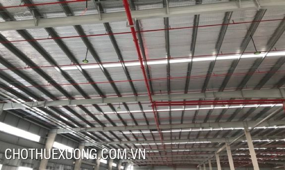 Factory for rent with a diverse area from 3000; 5000...50,000m2 in Nam Dinh Vu Industrial Park 7