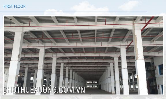 Factory for rent with area from 15,000m2 in An Phat Industrial Park, Hai Duong 7