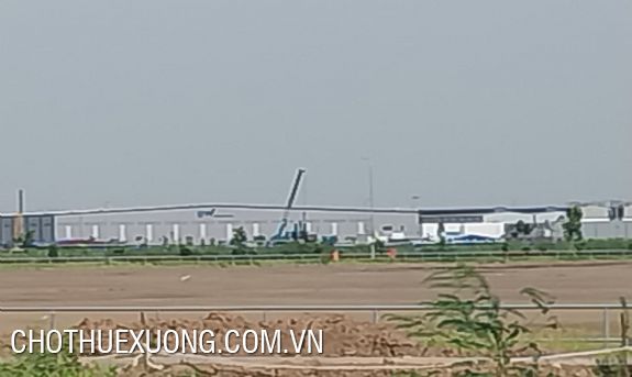 Transfer of nearly 10,000m2 of commercial-service land in Hai An, Hai Phong 2