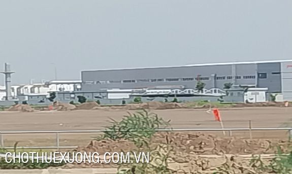 Transfer of nearly 10,000m2 of commercial-service land in Hai An, Hai Phong 3