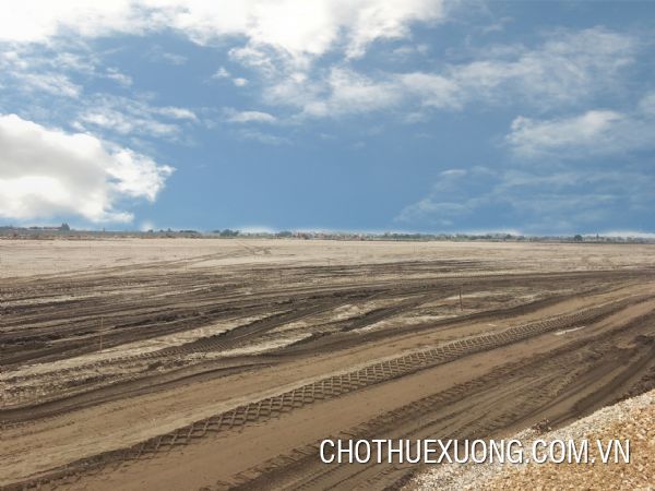 Transferring nearly 5 hectares of land in Khoai Chau, Hung Yen