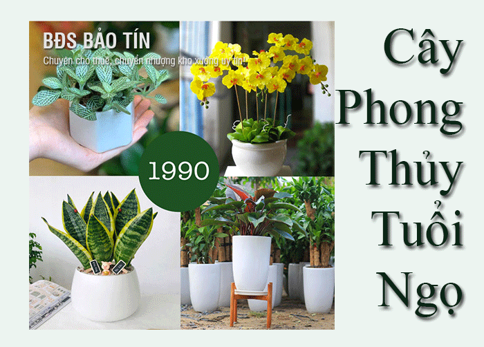 Top List các cây phong thủy tuổi Ngọ