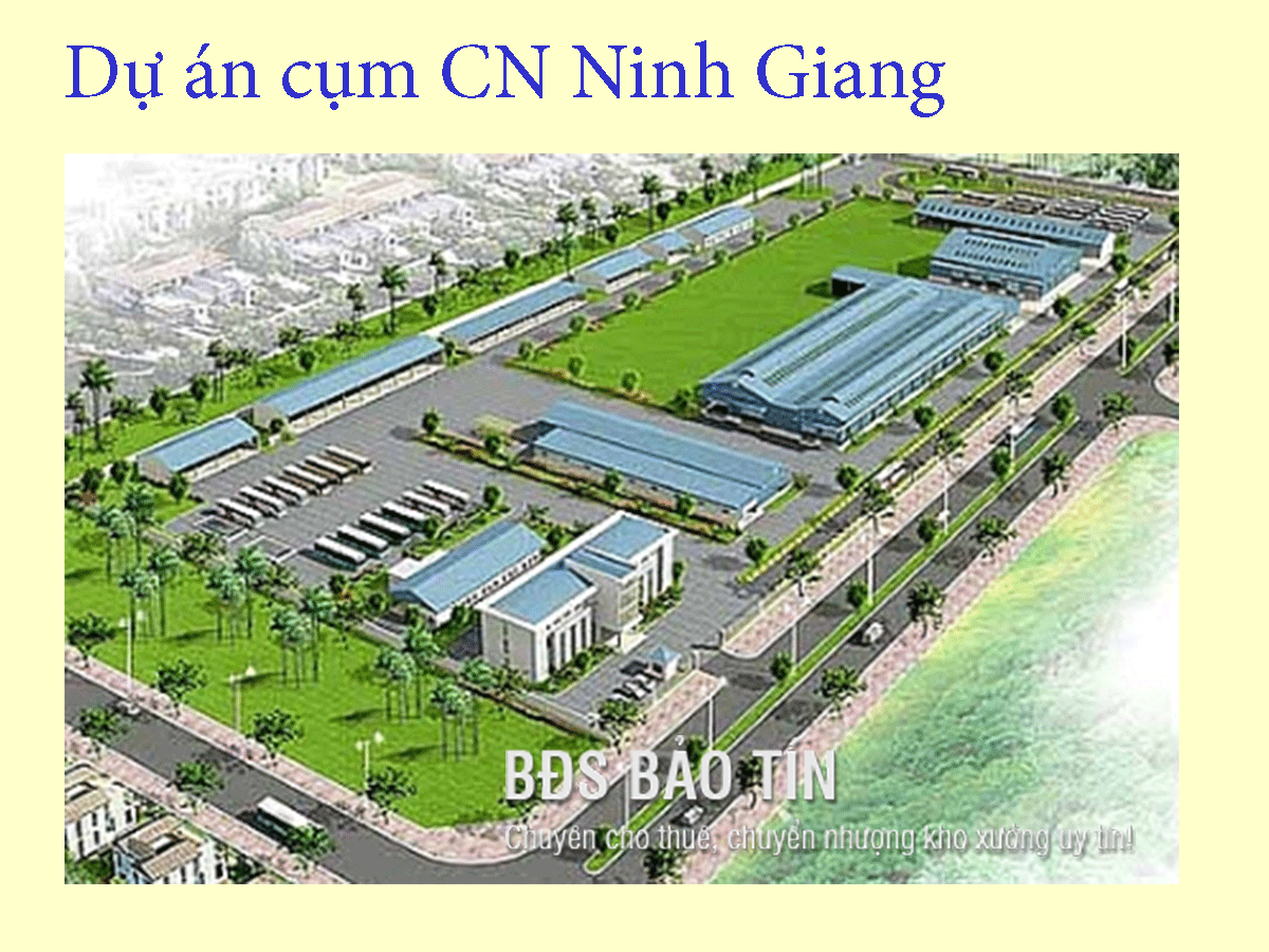 Dự án chuyển nhượng CCN Ninh Giang