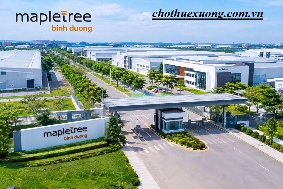 Chi tiết về Khu công nghiệp Mapletree Bình Dương