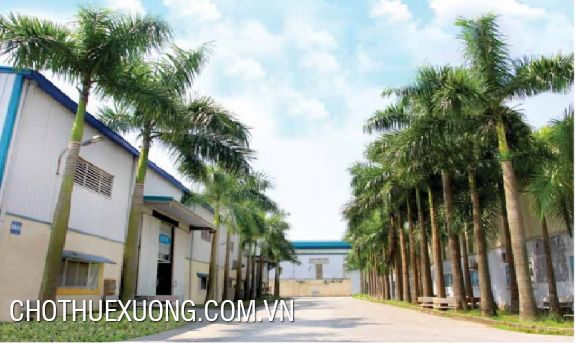 Cho thuê hoặc chuyển nhượng xưởng 20000m2 cụm CN Bạch Hạc, Việt Trì, Phú Thọ, Giá rẻ 1