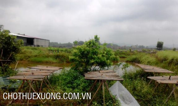Cho Thuê Xưởng Bắc Giang 1000m2 Gần Sân Bay Kép Huyện Lạng Giang 9