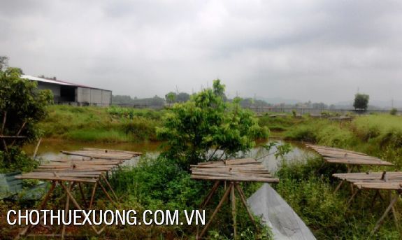 Workshop for lease in Bac Giang nearby Lang Giang Airport 9