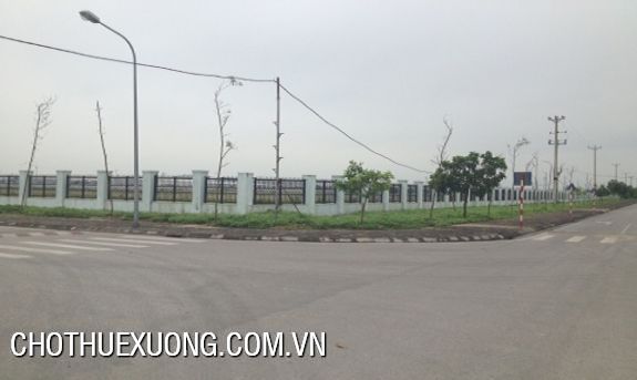 Factory for rent in Tan Truong, Cam Giang, Hai Duong 2