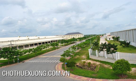 Factory for rent in Tan Truong, Cam Giang, Hai Duong 3