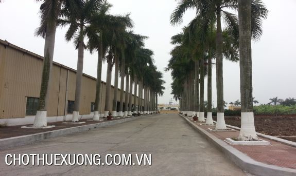 6000sqm factory for lease in Hai Phong with the best price 3