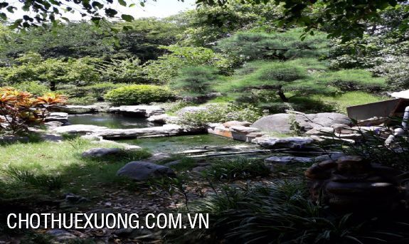 For sale factory and company in Van Lam, Hung Yen 15.784m2 4