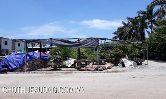 For sale factory and company in Van Lam, Hung Yen 15.784m2 5