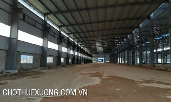 Cho Thuê Nhà Xưởng Mới Đẹp Tại Quán Gỏi, Bình Giang, Hải Dương 4