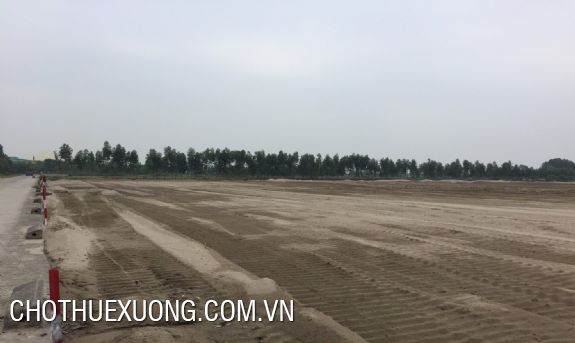 Bán đất công nghiệp tại KCN Thuận Thành 3, Bắc Ninh 1ha trở lên 4