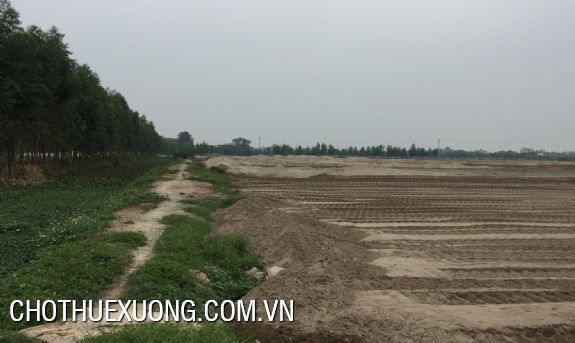 Land for sale in Thuan Thanh 3 industrial zone, Bac Ninh 1ha 4
