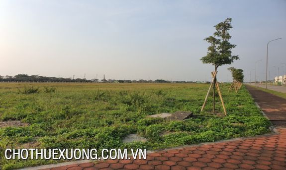 Land for sale in An Phat-Complex industrial park, Hai Duong 1ha-10ha 1