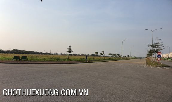 Land for sale in An Phat-Complex industrial park, Hai Duong 1ha-10ha 5
