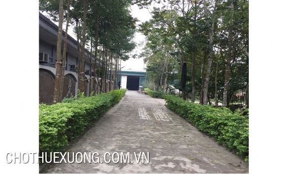 Cho thuê kho xưởng mới đẹp tại Hà Trung Thanh Hóa 1500m2 2