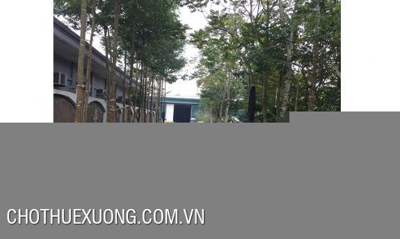 Warehouse for lease in Ha Trung, Thanh Hoa 756m2, 1115m2, rental 2.6usd/m2 4