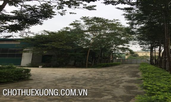 Warehouse for lease in Ha Trung, Thanh Hoa 756m2, 1115m2, rental 2.6usd/m2 5