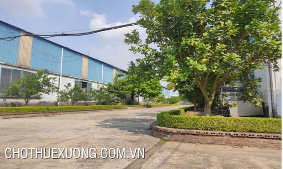 Factory for sale in My Hao, Hung Yen with total area of 34000m2 3