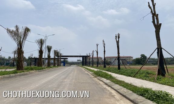 Land for sale from 10000m2 in Son Cam Industrial Area, Thai Nguyen 2