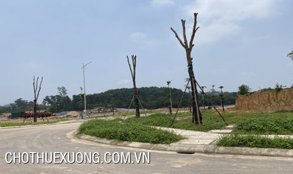 Land for sale from 10000m2 in Son Cam Industrial Area, Thai Nguyen 8