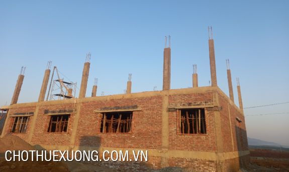 Bán đất dự án 4.1ha ở Thanh Sơn Phú Thọ 3
