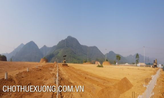 Bán đất dự án 4.1ha ở Thanh Sơn Phú Thọ 5
