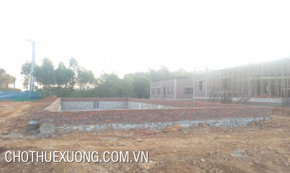 Bán đất dự án 4.1ha ở Thanh Sơn Phú Thọ 7