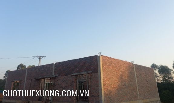 Project land for sale in Thanh Son Phu Tho of 41,000 sqm 5