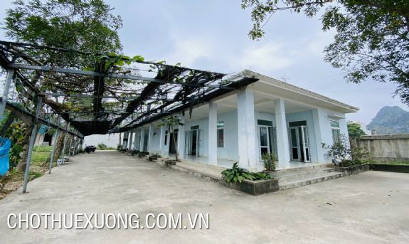 Cho thuê nhà xưởng 19.400m2 tại Thanh Hóa 8