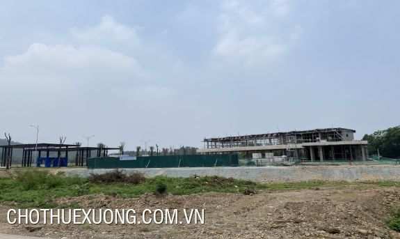 Bán đất Khu công nghiệp Sơn Cẩm Thái Nguyên từ 1ha 6