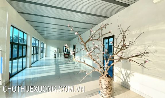 Cho thuê nhà xưởng 4092m2 ở huyện Thuận Thành tỉnh Bắc Ninh 8