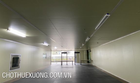 Cho thuê xưởng 7820m2 trong KCN Đại An Hải Dương 4