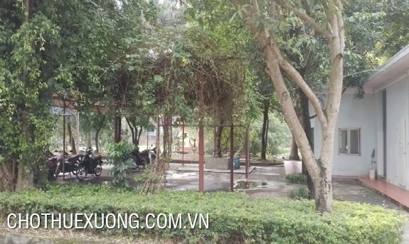 Cho thuê xưởng 6000m2 trong KCN Đồng Văn 1 Hà Nam 3