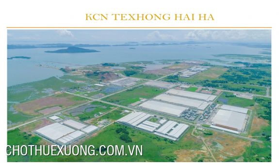 Chuyển nhượng đất KCN TEXHONG Hải Hà, Quảng Ninh 90 USD/m2 2