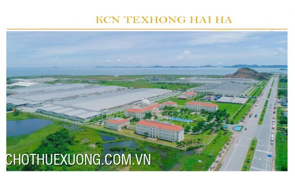 Chuyển nhượng đất KCN TEXHONG Hải Hà, Quảng Ninh 90 USD/m2 5