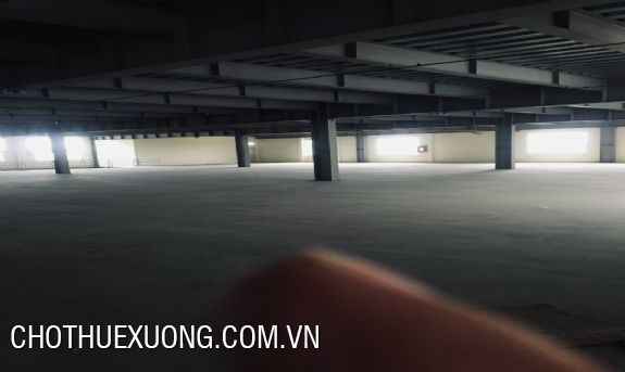 清化省 Hoang Hoa 区工厂出租 10,000m2厂房 2