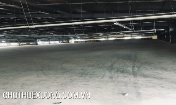 清化省 Hoang Hoa 区工厂出租 10,000m2厂房 1