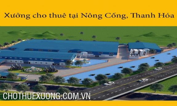 Cho thuê xưởng 16000m2 đẹp, tiêu chuẩn tại Nông Cống, Thanh Hóa 1