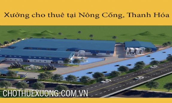 Standard 16000m2 factory for rent in Nong Cong, Thanh Hoa 9