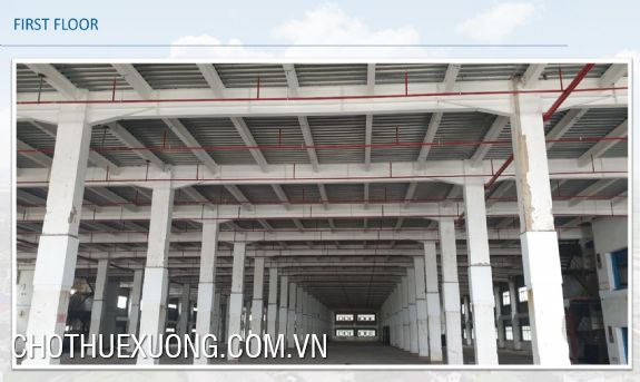 Cho thuê nhà xưởng diện tích từ 15,000m2 trong KCN An Phát, Hải Dương 2