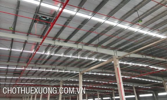 Khu nhà xưởng 50,000m5 cho thuê tại KCN Nam Đình Vũ, Hải Phòng 3