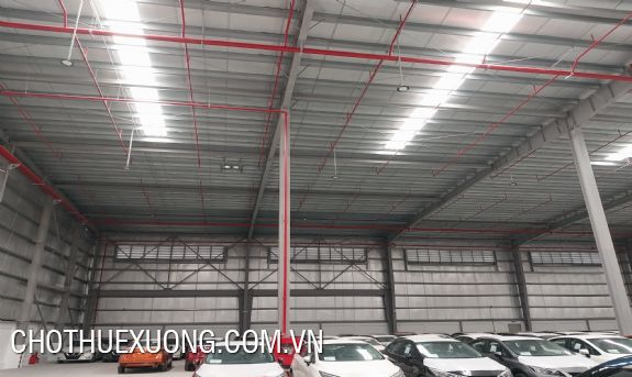 Factory for rent 13,000m2 in Deep C Hai Phong Industrial Park 4