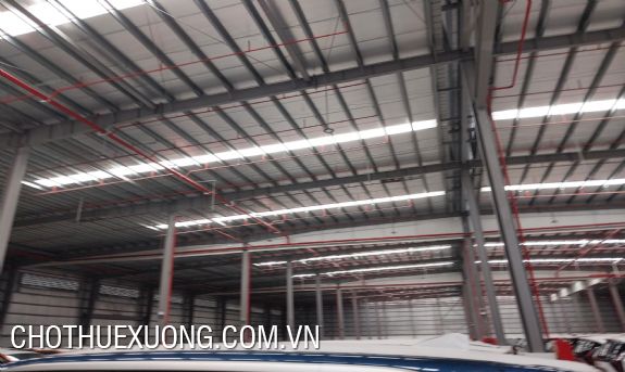 Factory for rent 13,000m2 in Deep C Hai Phong Industrial Park 5