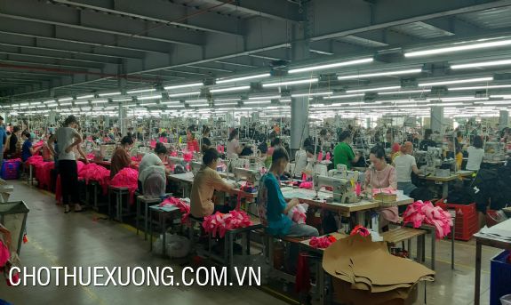 Factory for rent 3000m2 in Tan Yen, Bac Giang 4