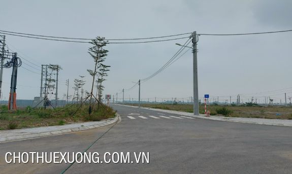 Chuyển nhượng tử 1000m2 đất trong CCN Thanh Oai, Hà Nội 1