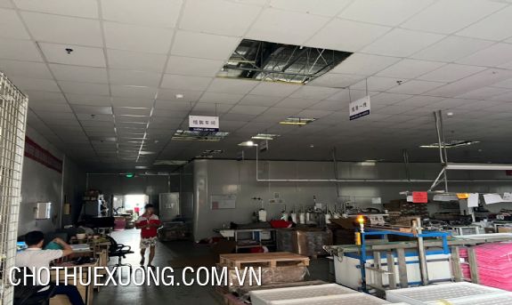Cho thuê xưởng mới 2424,4m2 - 2914,6m2 trong KCN Đồ Sơn, Hải phòng 3