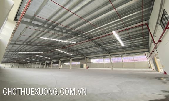 Transfer of 4,574m2 land lot and factory in Binh Xuyen Industrial Park, Vinh Phuc 1